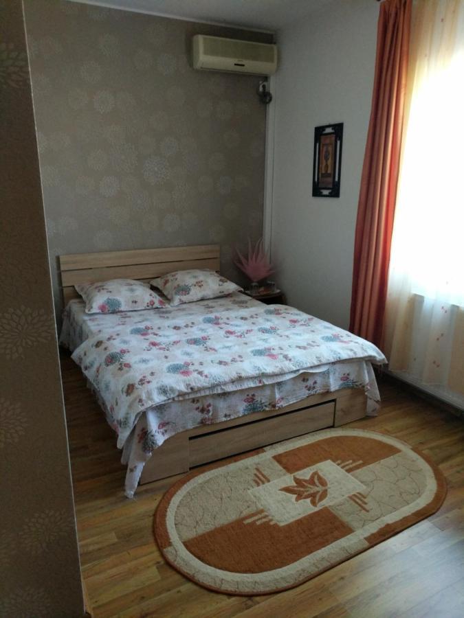 Pensiunea Vladut Temeşvar Dış mekan fotoğraf